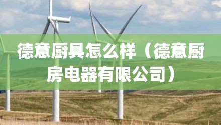 德意厨具怎么样（德意厨房电器有限公司）