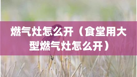 燃气灶怎么开（食堂用大型燃气灶怎么开）