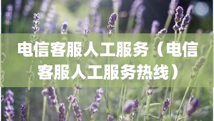 电信客服人工服务（电信客服人工服务热线）