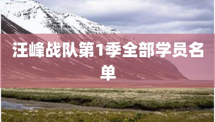 汪峰战队第1季全部学员名单