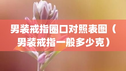 男装戒指圈口对照表图（男装戒指一般多少克）