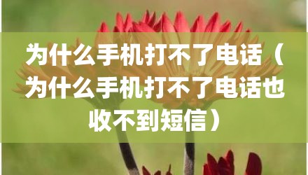 为什么手机打不了电话（为什么手机打不了电话也收不到短信）