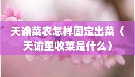 天谕菜农怎样固定出菜（天谕里收菜是什么）
