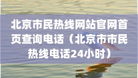 北京市民热线网站官网首页查询电话(北京市市民热线电话24小时)
