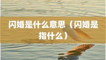 闪婚是什么意思(闪婚是指什么)