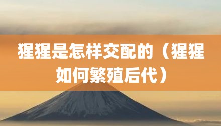 猩猩是怎样交配的（猩猩如何繁殖后代）