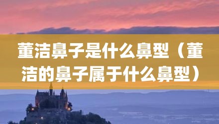 董洁鼻子是什么鼻型（董洁的鼻子属于什么鼻型）