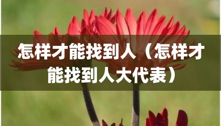 怎样才能找到人（怎样才能找到人大代表）