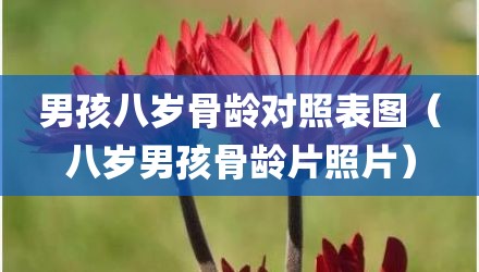 男孩八岁骨龄对照表图（八岁男孩骨龄片照片）