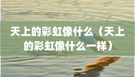天上的彩虹像什么(天上的彩虹像什么一样)