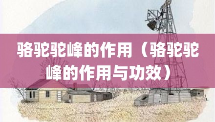 骆驼驼峰的作用（骆驼驼峰的作用与功效）