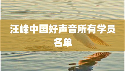 汪峰中国好声音所有学员名单