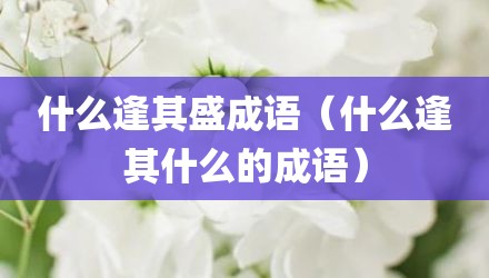 什么逢其盛成语(什么逢其什么的成语)