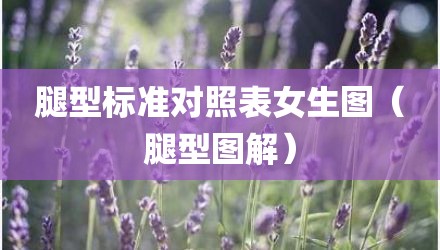 腿型标准对照表女生图（腿型图解）