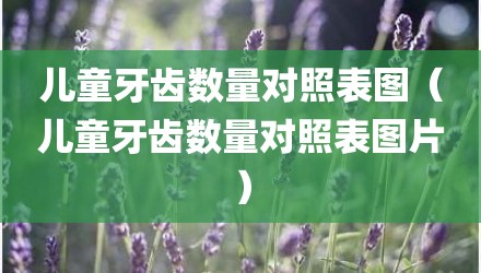 儿童牙齿数量对照表图（儿童牙齿数量对照表图片）