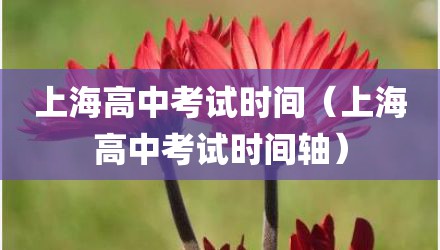 上海高中考试时间（上海高中考试时间轴）