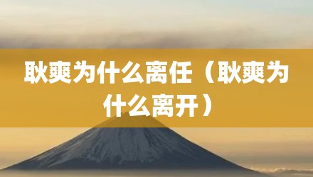 耿爽为什么离任（耿爽为什么离开）