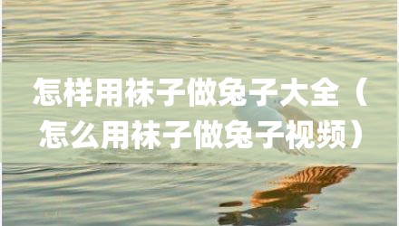 怎样用袜子做兔子大全（怎么用袜子做兔子视频）