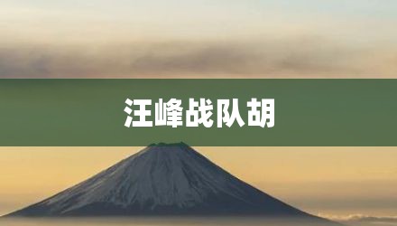 汪峰战队胡
