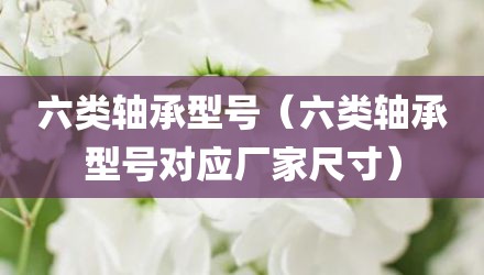 六类轴承型号（六类轴承型号对应厂家尺寸）