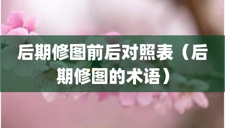 后期修图前后对照表（后期修图的术语）