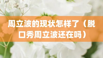 周立波的现状怎样了（脱口秀周立波还在吗）