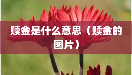 赎金是什么意思（赎金的图片）
