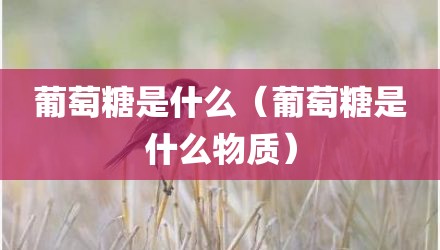 葡萄糖是什么（葡萄糖是什么物质）