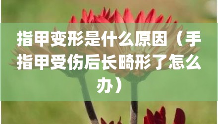 指甲变形是什么原因（手指甲受伤后长畸形了怎么办）