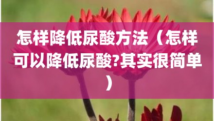怎样降低尿酸方法（怎样可以降低尿酸?其实很简单）