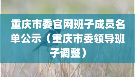 重庆市委官网班子成员名单公示(重庆市委领导班子调整)
