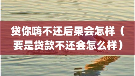 贷你嗨不还后果会怎样（要是贷款不还会怎么样）