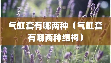 气缸套有哪两种（气缸套有哪两种结构）