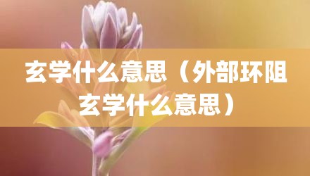 玄学什么意思（外部环阻玄学什么意思）