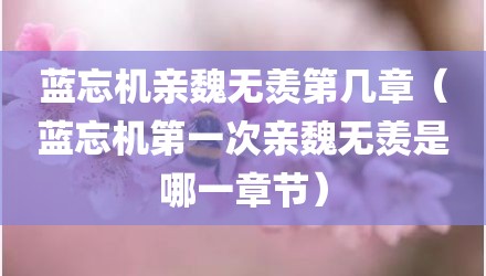 蓝忘机亲魏无羡第几章（蓝忘机第一次亲魏无羡是哪一章节）