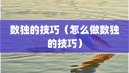 数独的技巧(怎么做数独的技巧)