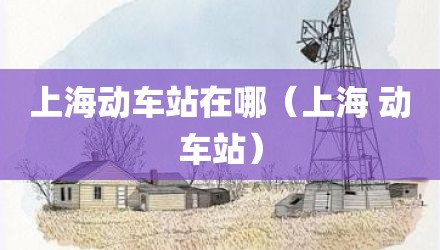 上海动车站在哪（上海 动车站）