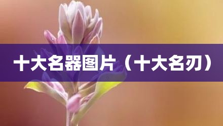 十大名器图片(十大名刃)