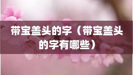 带宝盖头的字（带宝盖头的字有哪些）