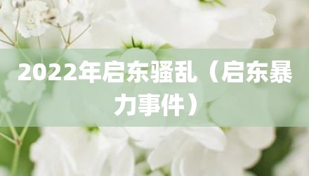 2022年启东骚乱（启东暴力事件）