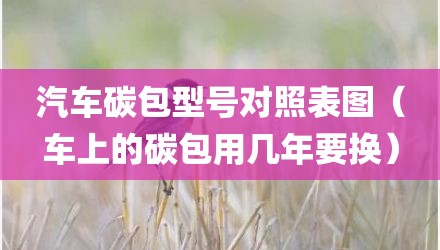 汽车碳包型号对照表图（车上的碳包用几年要换）
