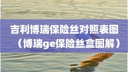 吉利博瑞保险丝对照表图（博瑞ge保险丝盒图解）