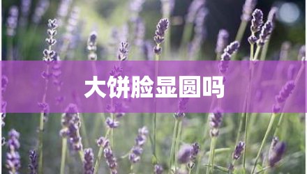 大饼脸显圆吗