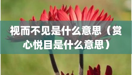 视而不见是什么意思（赏心悦目是什么意思）