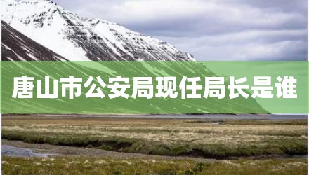 唐山市公安局现任局长是谁