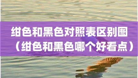 绀色和黑色对照表区别图（绀色和黑色哪个好看点）