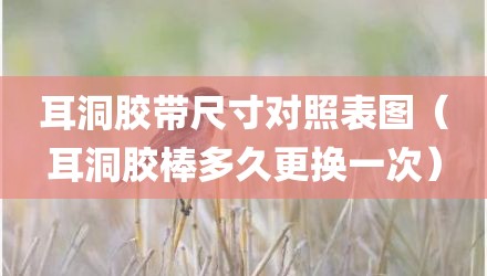 耳洞胶带尺寸对照表图（耳洞胶棒多久更换一次）