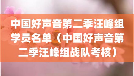 中国好声音第二季汪峰组学员名单（中国好声音第二季汪峰组战队考核）