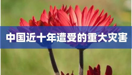 中国近十年遭受的重大灾害