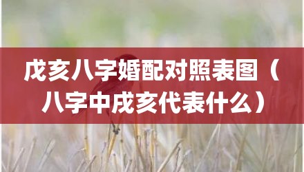 戊亥八字婚配对照表图（八字中戌亥代表什么）